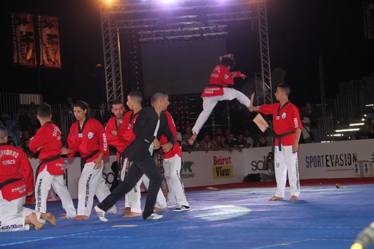 Martial Arts Festival